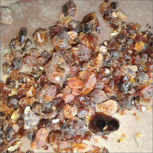 Indian Gum
