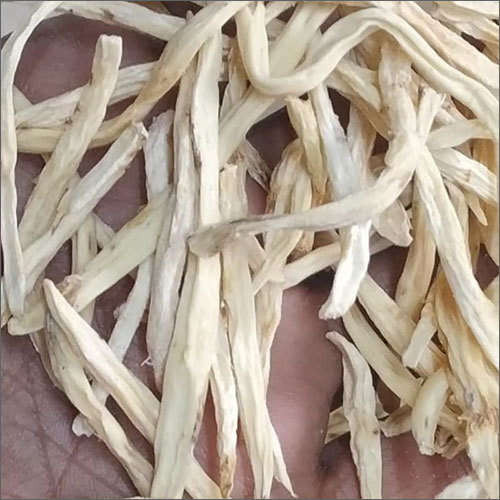 Safed Musli