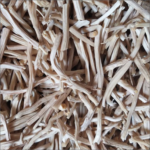 Shatavari Root